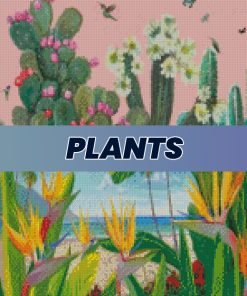 Plants