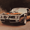 1978 Pontiac Trans Am Diamond Painting