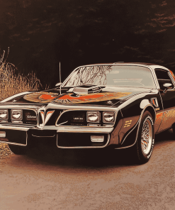 1978 Pontiac Trans Am Diamond Painting