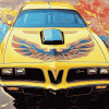 1978 Pontiac Trans Am Engine Diamond Painting