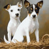 Adorable Rat Terriers Puppies Diamond Painting