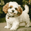 Aesthetic Cavachon Puppy Diamond Painting