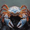 Aesthetic Crab Marine Life Diamond Painting