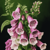 Aesthetic Foxglove Blossoms Diamond Painting