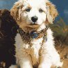 Aesthetic Great Pyrenees Dog Diamond Painting