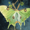 Aesthetic Luna Moth Diamond Painting