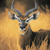 Aesthetic Nyala Wildlife Diamond Painting