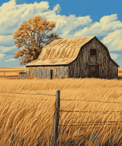 Aesthetic Prairie Barns Diamond Painting