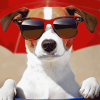 Aesthetic Puppy Sunglasses Diamond Painting