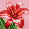 Aesthetic Red Lily Blossoms Diamond Painting