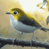 Aesthetic Silvereye Birds Diamond Painting