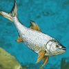 Aesthetic Tarpon Fish Diamond Painting