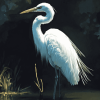 Aesthetic White Heron Diamond Painting