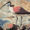 Aesthetic Wrybill Birds Diamond Painting