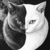 Aesthetic Yin Yang Cats Diamond Painting