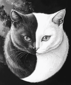 Aesthetic Yin Yang Cats Diamond Painting