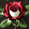 Aesthetic Yorkshire Rose Diamond Painting