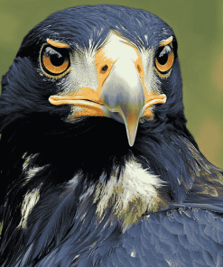 African Eagle Diamond Painting