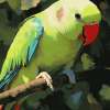 Alexandrine Parakeet Birds Diamond Painting