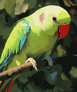 Alexandrine Parakeet Birds Diamond Painting