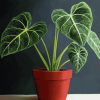 Alocasia Plant Leaf Diamond Painting