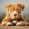 American Bully Puppy Diamond Painting