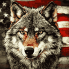 American Wolf Diamond Painting