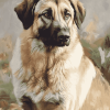 Anatolian Shepherd Hound Diamond Painting