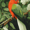 Austrailian King Parrot Bird Diamond Painting