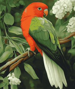 Austrailian King Parrot Bird Diamond Painting