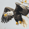 Bald Eagle Wildlife Diamond Painting