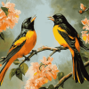 Baltimore Oriole Birds Diamond Painting