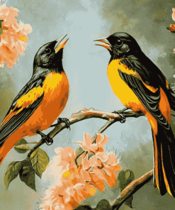 Baltimore Oriole Birds Diamond Painting