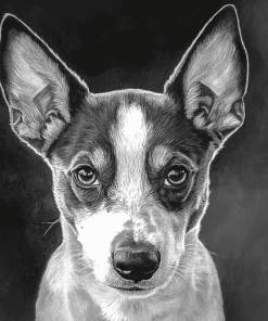 Basenji Puppy Black And White Diamond Painting