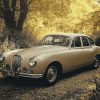 Beige Jaguar Vintage Engines Diamond Painting