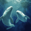 Beluga Whales Marine Animals Diamond Painting