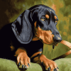 Black And Tan Coonhound Dog Diamond Painting