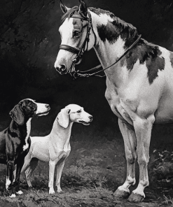 Black And White Horse And Hound Diamond Painting