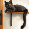 Black Cat Wall Scene Diamond Painting