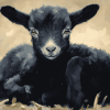 Black Goat Animals Diamond Painting