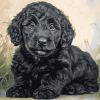 Black Goldendoodle Puppy Diamond Painting