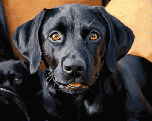 Black Labrador Puppy Diamond Painting