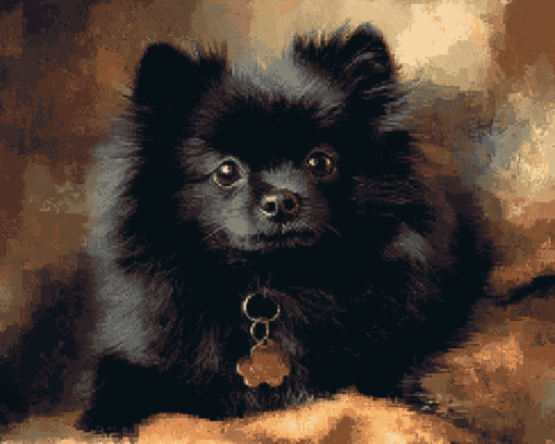 Black Pomeranian Puppy Diamond Painting