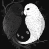 Black and White Birds Yin Yang Diamond Painting