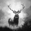 Black and White Deer Diamond Painting