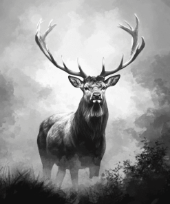 Black and White Deer Diamond Painting