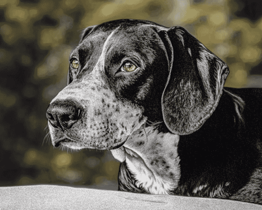 Black and White Plott Puppy Diamond Painting