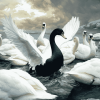 Black and White Swans Diamond Painting