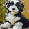 Black and White Tibetan Terrier Diamond Painting