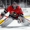 Blackhawks Hockey Goalie Diamond Painting